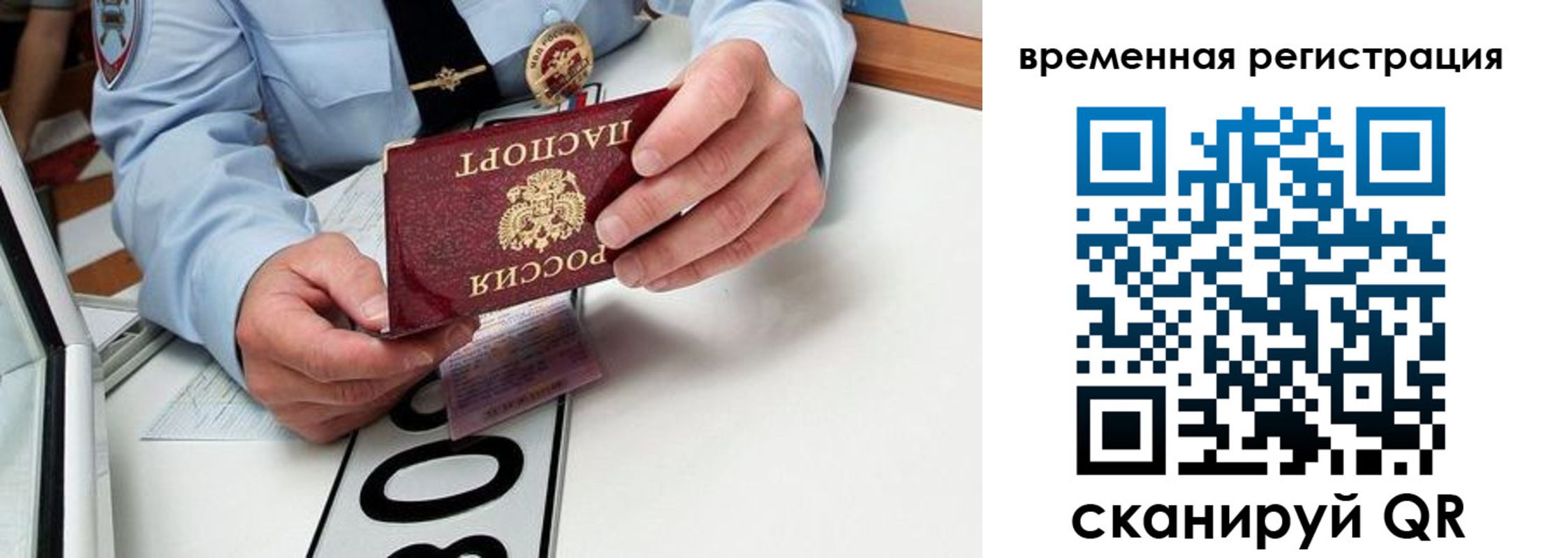 прописка гарантия в Малой Вишере